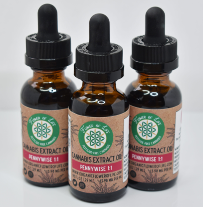 Pennywise-CBD-Oil-1g.webp